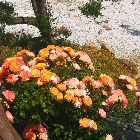 מונטאיונה Agriturismo I Colli מראה חיצוני תמונה
