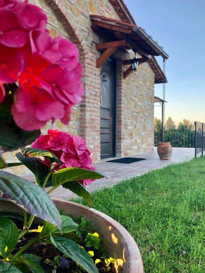 מונטאיונה Agriturismo I Colli מראה חיצוני תמונה