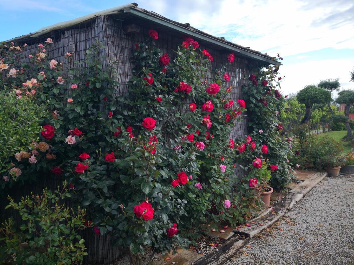 מונטאיונה Agriturismo I Colli מראה חיצוני תמונה