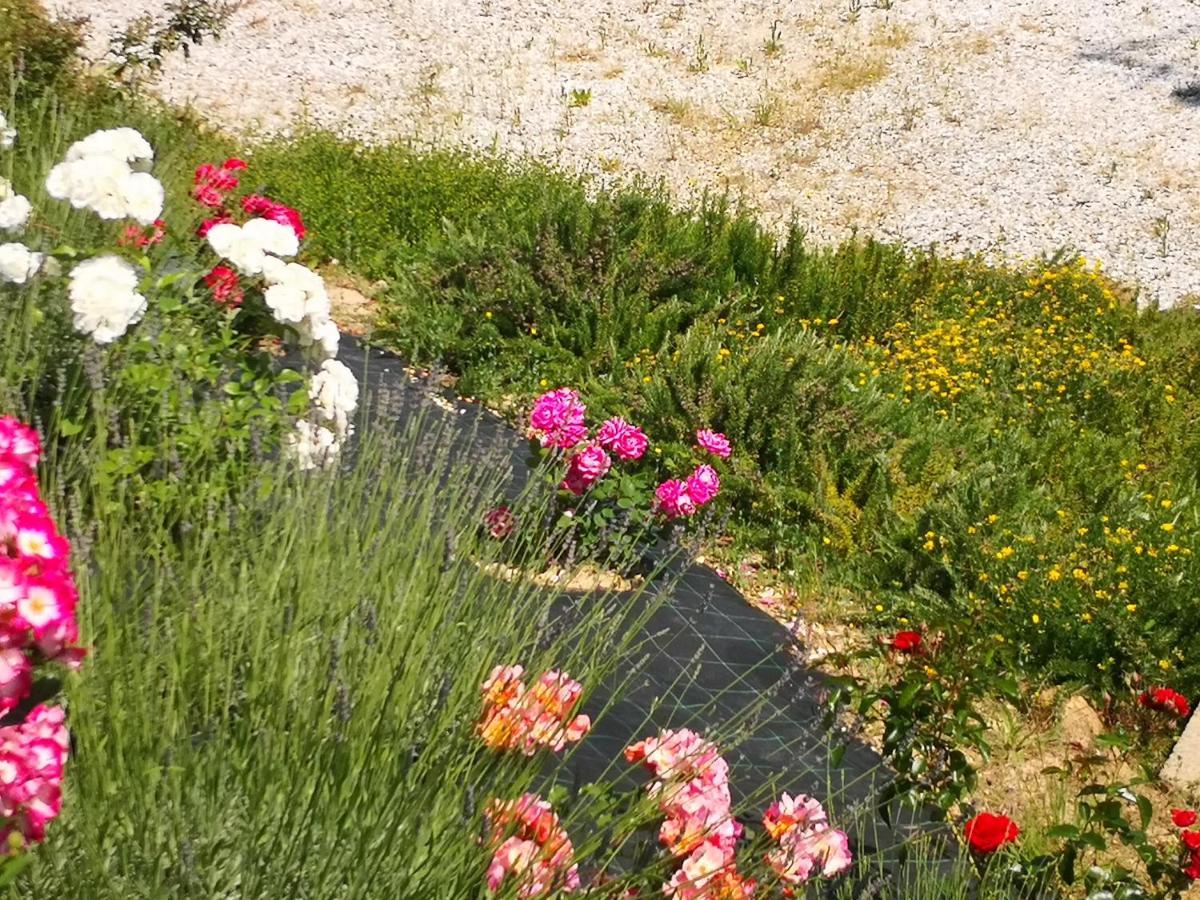 מונטאיונה Agriturismo I Colli מראה חיצוני תמונה