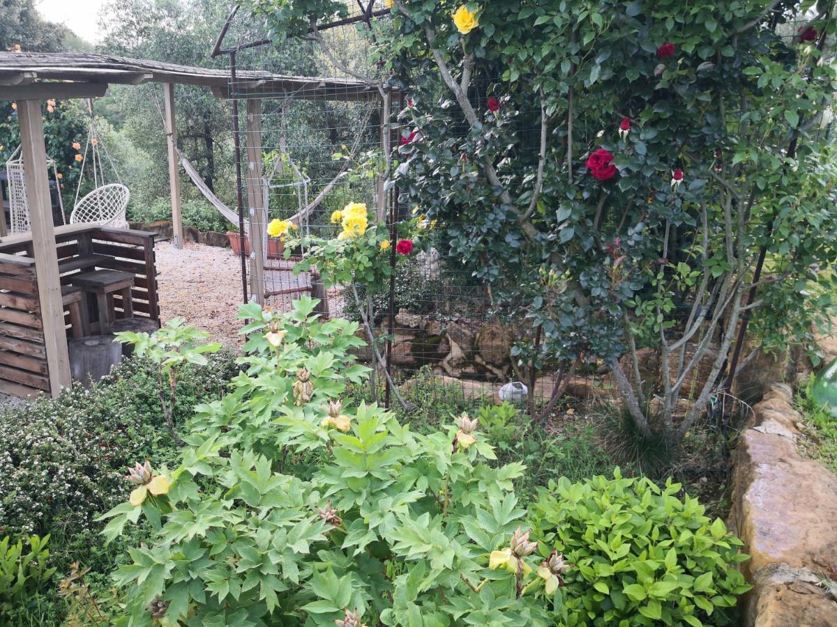 מונטאיונה Agriturismo I Colli מראה חיצוני תמונה
